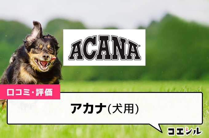 アカナドッグフード