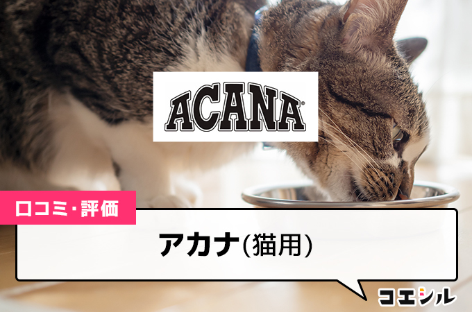 アカナキャットフード