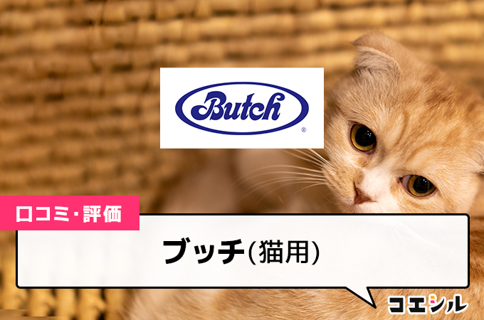 ブッチキャットフード