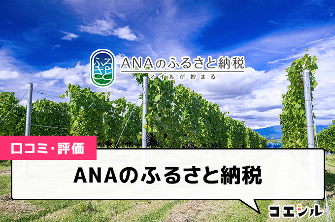 ANAのふるさと納税