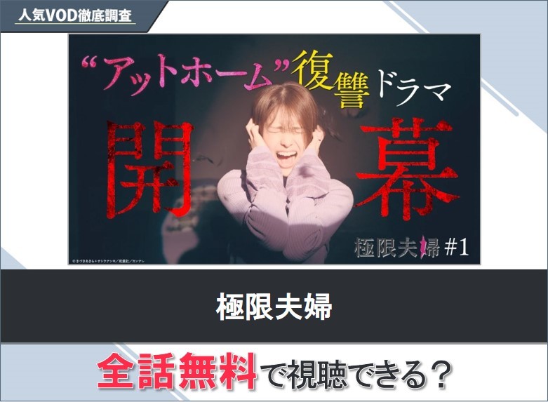 極限夫婦のドラマを無料で視聴する方法【Googleドラマ】